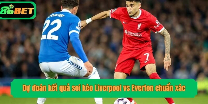 Dự đoán kết quả soi kèo Liverpool vs Everton chuẩn xác