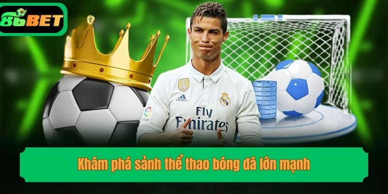 Khám phá sảnh thể thao bóng đá lớn mạnh