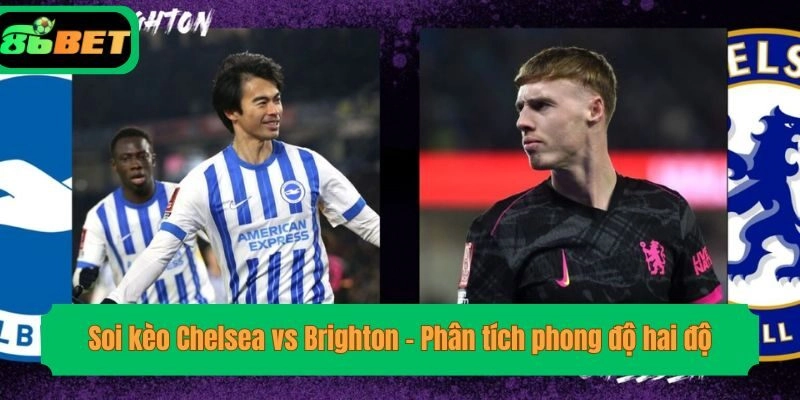 Soi kèo Chelsea vs Brighton - Phân tích phong độ hai độ
