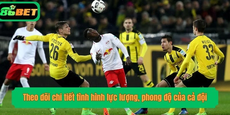 Theo dõi chi tiết tình hình lực lượng, phong độ của cả đội